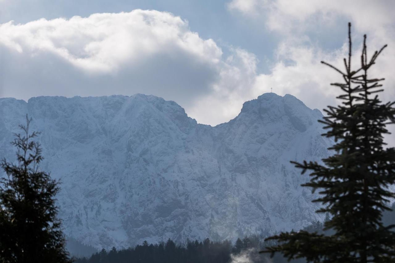 Apartament Paula Zakopane Dış mekan fotoğraf